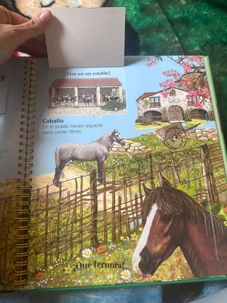 Libro "animales de la granja con ventanas"