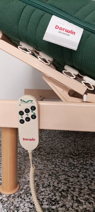 cama articulada eléctrica con colchón