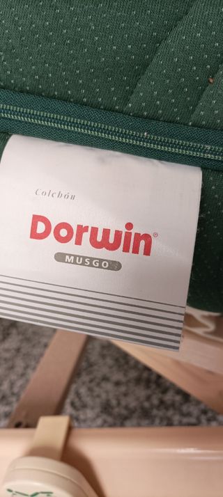 cama articulada eléctrica con colchón