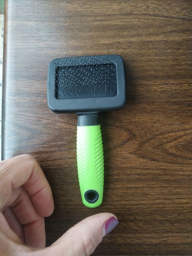 Accesorios para conejos