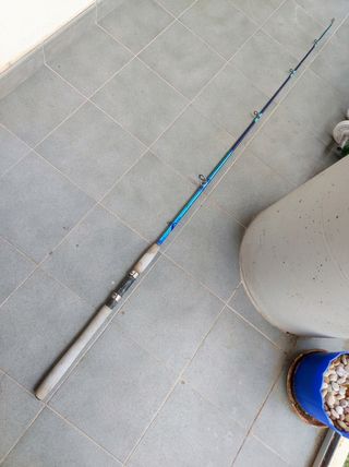 caña para la pesca de la cucharilla de 1, 80 mt