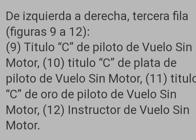distintivo título C vuelo sin motor ejér.del aire