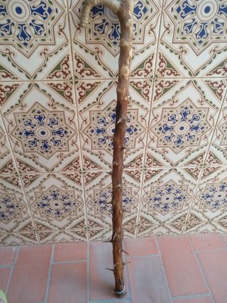 Bastón de naranjo agrio.