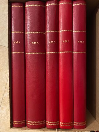 Revista ama. Una joya
