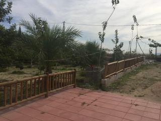 Finca en Romeral ( Finca el Cura ) Molina de Seg