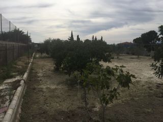 Finca en Romeral ( Finca el Cura ) Molina de Seg