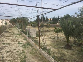 Finca en Romeral ( Finca el Cura ) Molina de Seg