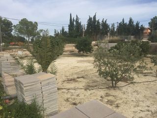 Finca en Romeral ( Finca el Cura ) Molina de Seg