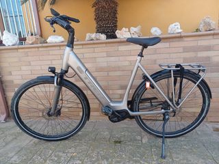 Bici eléctrica TREK Verve +5 bateria 500 W XL