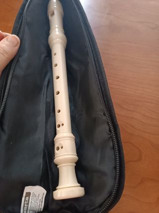 Flauta dulce principiantes