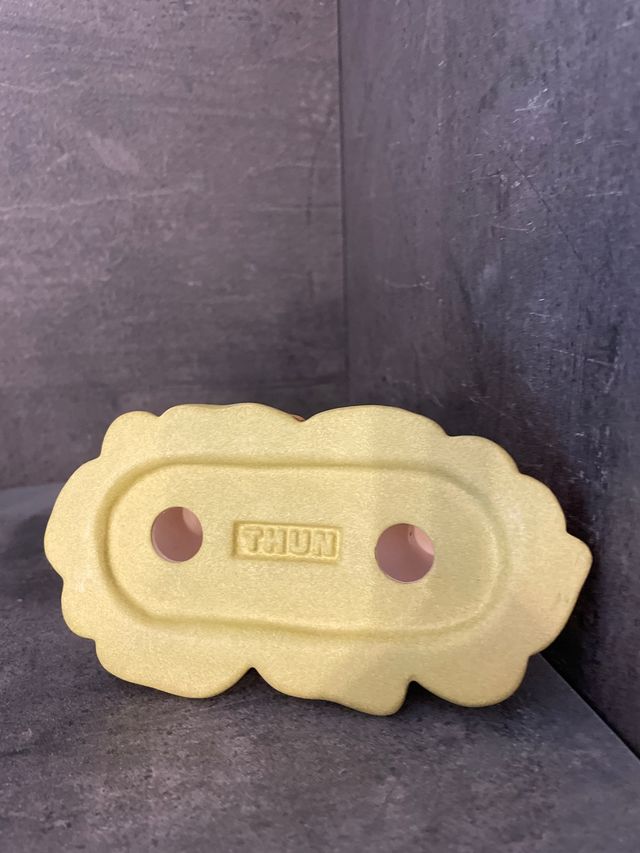 Thun coppia di coccinelle