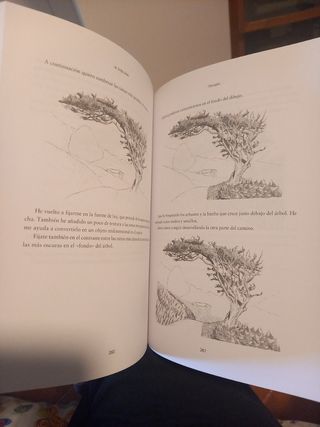 "Como dibujar" Liron Yanconsky