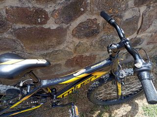 Bicicleta niño 20 pulgadas