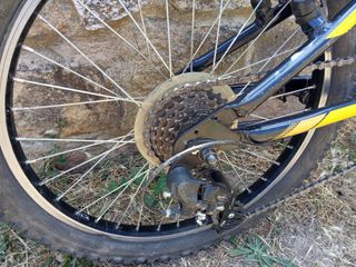 Bicicleta niño 20 pulgadas