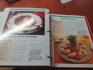 Libro cocina