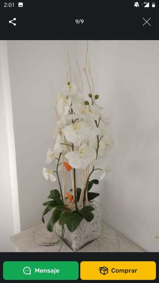 JUEGO 2 ORQUÍDEAS GRAN MACETA