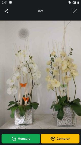 JUEGO 2 ORQUÍDEAS GRAN MACETA