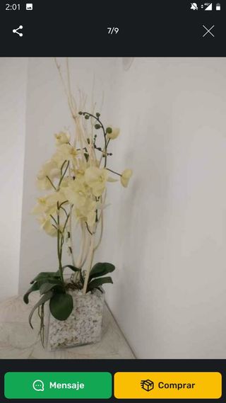 JUEGO 2 ORQUÍDEAS GRAN MACETA