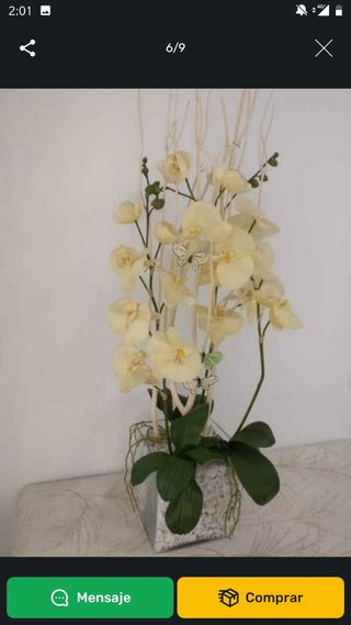 JUEGO 2 ORQUÍDEAS GRAN MACETA