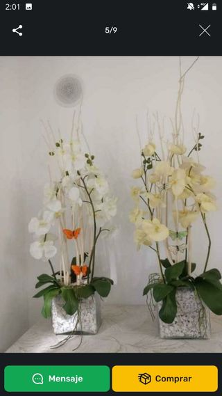 JUEGO 2 ORQUÍDEAS GRAN MACETA