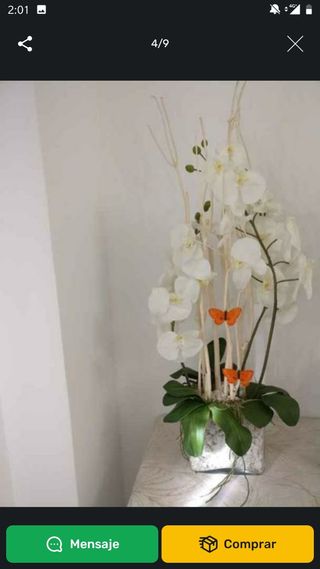 JUEGO 2 ORQUÍDEAS GRAN MACETA