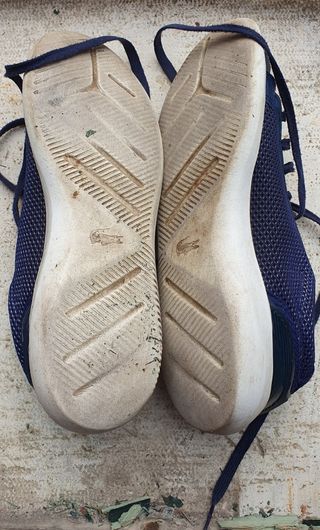 Scarpe lacoste n.41