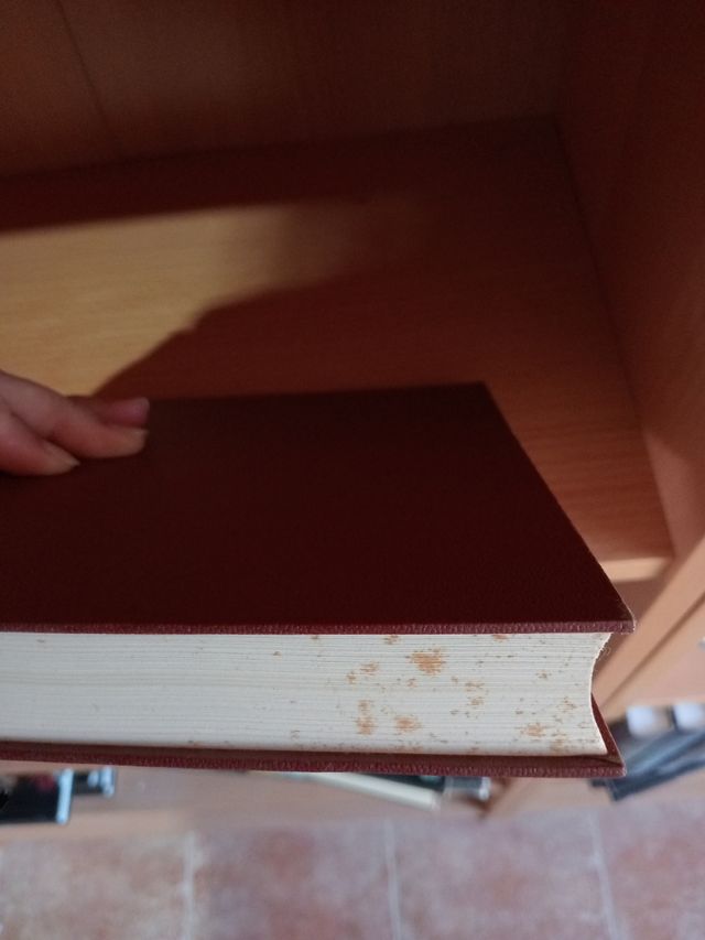 Libros de grandes artistas del mundo del arte.