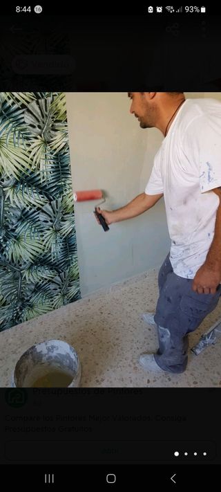 pintor decorado