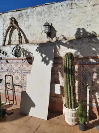 CACTUS GRANDE. 1,50 M. X CM.