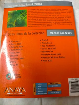 Excel 2003 Avanzado 