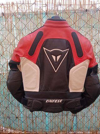 Cazadora moto de cuero dainese chica