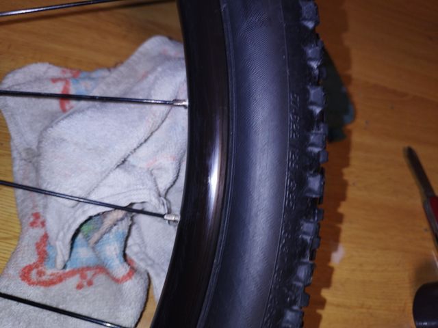 rueda trasera 29 Scott SPARK 950  2018