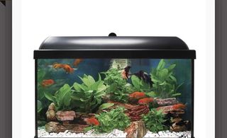 Acuario 40 litros