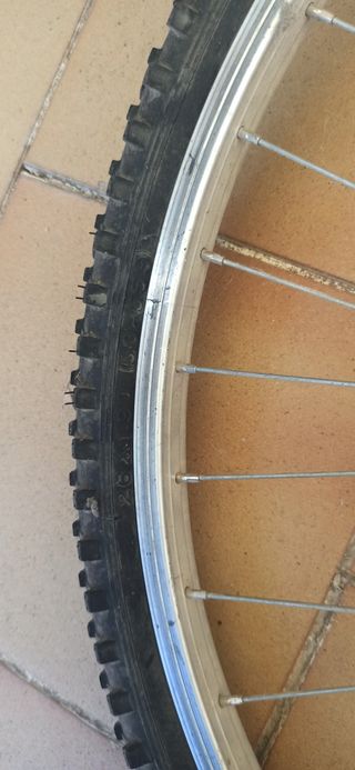 Bicicleta de adulto