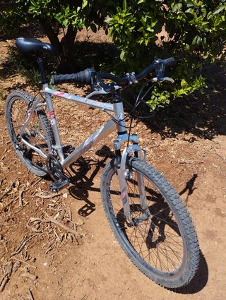 bicicleta paseo, montaña chico 26 pulgadas