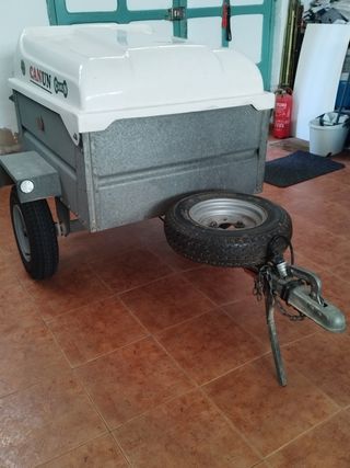 carro para perros