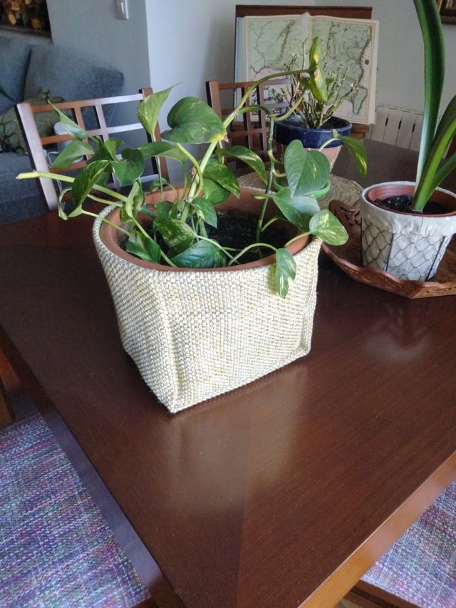 Cubremacetas de tela . Ideas para regalar