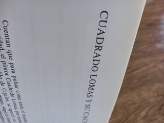 Libro Vallisoletinas