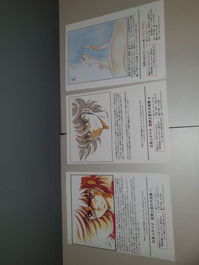 Saint Seiya Artbook Ilustraciones Colors 1 y 2