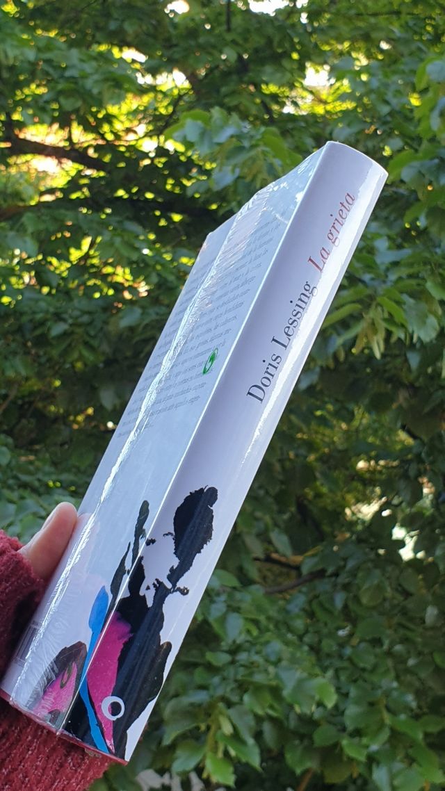 La grieta de Doris Lessing