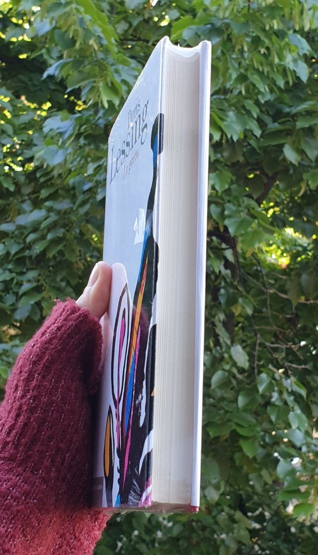 La grieta de Doris Lessing