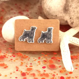 Originales pendientes de botón de perro Schnauzer