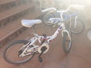 Bicicletas niños 4-9 años
