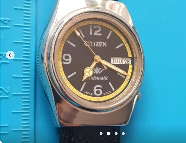 RELOJ CITIZEN GN-4-WS