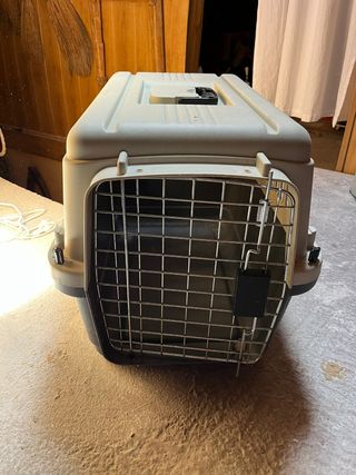 transportin perro