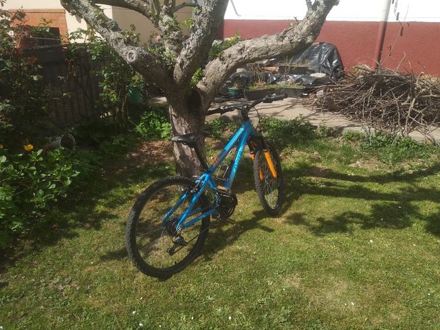 Bicicleta de montaña