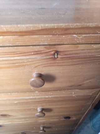 URGE recoger bureau restaurar