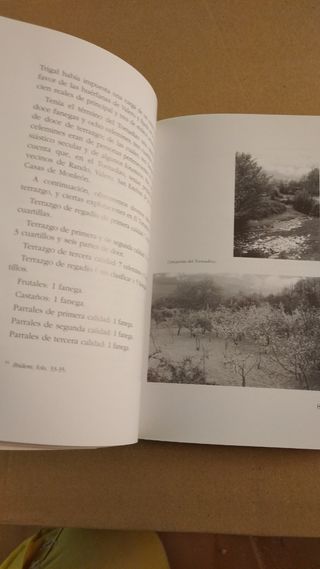 la Villa Ducal del Tornadizo