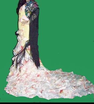 vendo los dos vestidos 1000