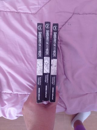 Guardianes de la noche